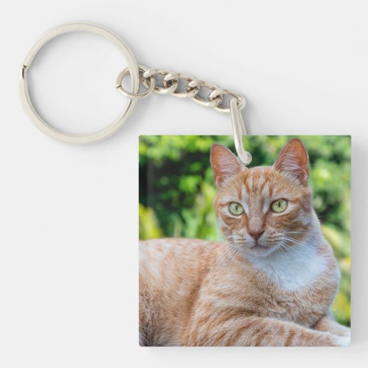 Zoet klein kat sleutelhanger (Voorkant)