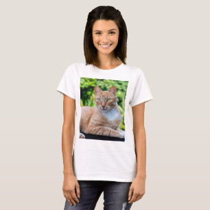 Zoet klein kat t-shirt