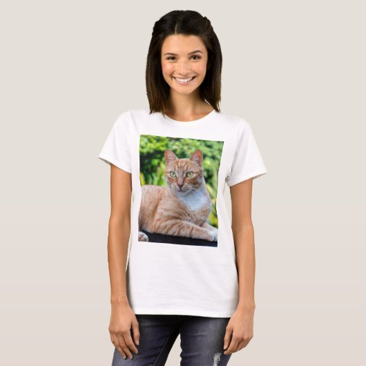 Zoet klein kat t-shirt (Voorkant volledig)