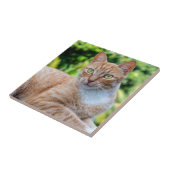 Zoet klein kat tegeltje (Zijkant)