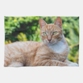 Zoet klein kat theedoek (Horizontaal)