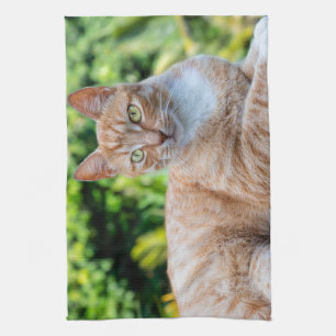 Zoet klein kat theedoek