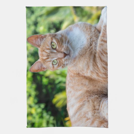 Zoet klein kat theedoek (Verticaal)