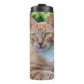 Zoet klein kat thermosbeker (Voorkant)