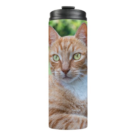 Zoet klein kat thermosbeker (Voorkant)