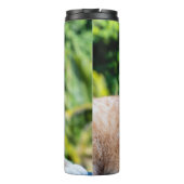 Zoet klein kat thermosbeker (Achterkant)