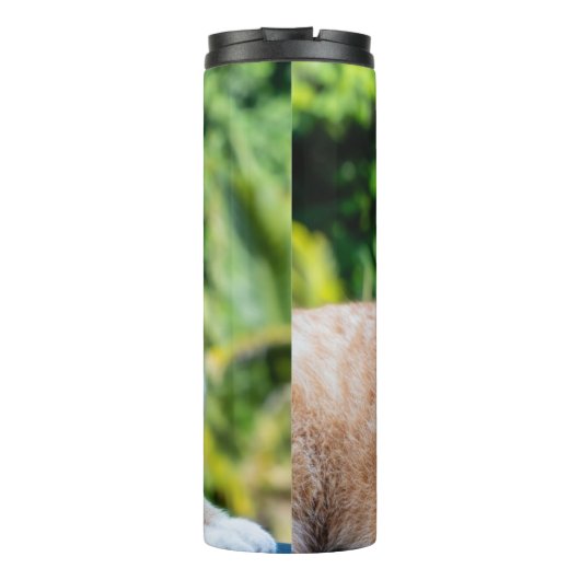 Zoet klein kat thermosbeker (Achterkant)