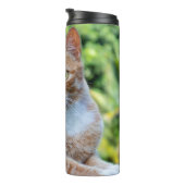 Zoet klein kat thermosbeker (Geroteerd rechts)