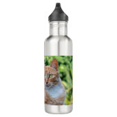 Zoet klein kat waterfles  (Rechts)