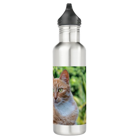 Zoet klein kat waterfles  (Rechts)