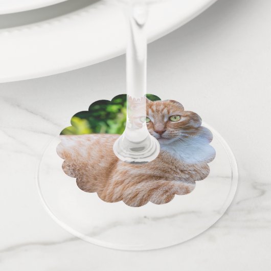 Zoet klein kat wijnglaslabel (Dichtbij)