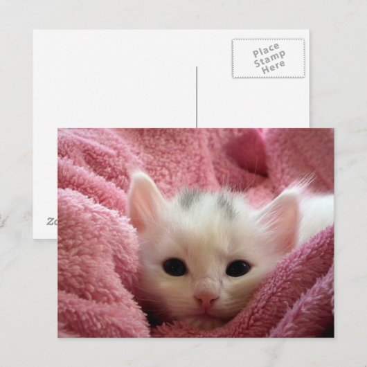 Zoet zacht kat blijf warm briefkaart (Voorkant / Achterkant)