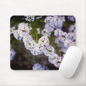 Zoete Alyssum in Grunge Muismat (Met muis)