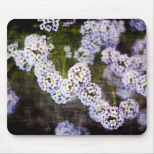 Zoete Alyssum in Grunge Muismat