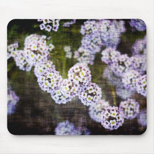 Zoete Alyssum in Grunge Muismat (Voorkant)