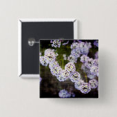 Zoete Alyssum in Grunge Vierkante Button 5,1 Cm (Voorkant /achterkant)