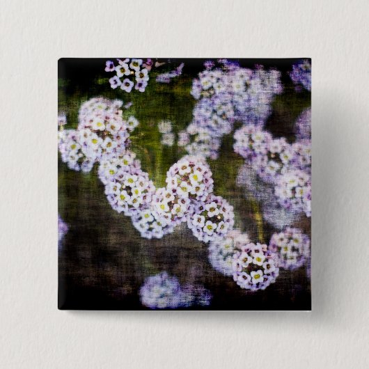 Zoete Alyssum in Grunge Vierkante Button 5,1 Cm (Voorkant)
