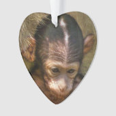 zoete baby aap ornament (voorkant)