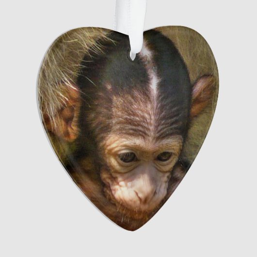 zoete baby aap ornament (voorkant)