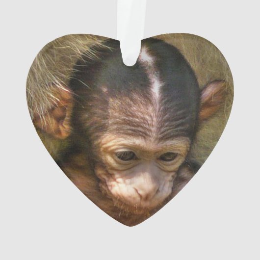 zoete baby aap ornament (achterkant)