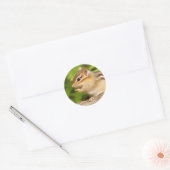 zoete baby-chipmunk met snack ronde sticker (Envelop)