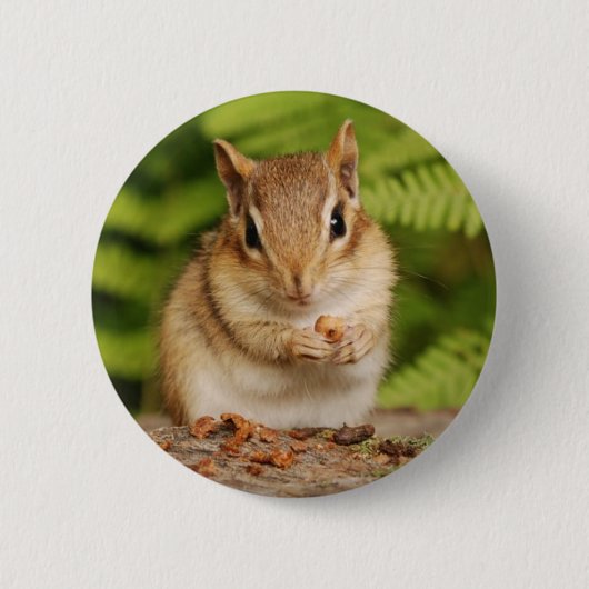 zoete baby chipmunk ronde button 5,7 cm (Voorkant)