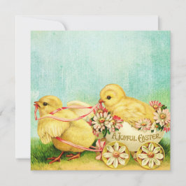 Zoete Baby kippen Paspoortkaarten Personaliseren t Feestdagenkaart