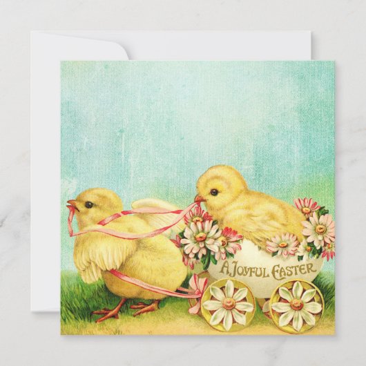 Zoete Baby kippen Paspoortkaarten Personaliseren t Feestdagenkaart (Voorkant)