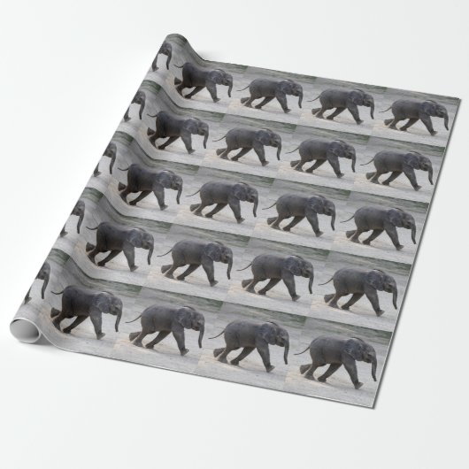 Zoete Baby Olifant Kibali Cadeaupapier (Uitgerold)