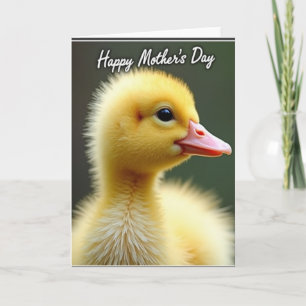 Zoete Baby Vogel Moederdag Kaart