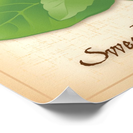 Zoete Basilicum Kruid Poster (Hoek)