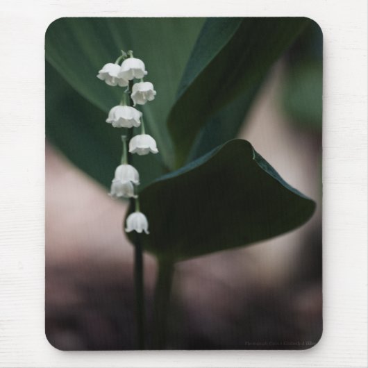 Zoete Bellen Muismat (Voorkant)