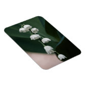 Zoete Bellen Premium Magneet (Rechterzijde)