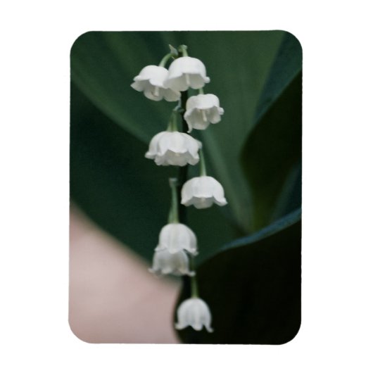 Zoete Bellen Premium Magneet (Verticaal)