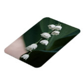 Zoete Bellen Premium Magneet (Linkerzijde)