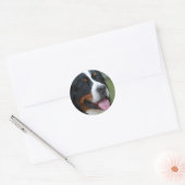Zoete Berner Sticker (Envelop)