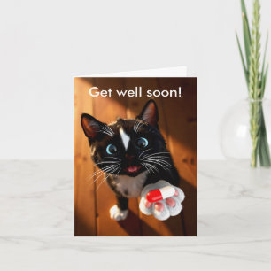 Zoete Beterschap Kaart Zorgzame Kat