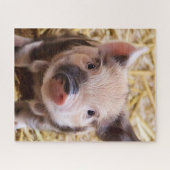 Zoete biggetje legpuzzel (Horizontaal)