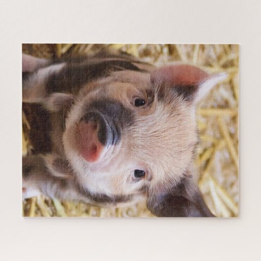 Zoete biggetje legpuzzel (Horizontaal)