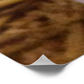 zoete biggetje poster (Hoek)