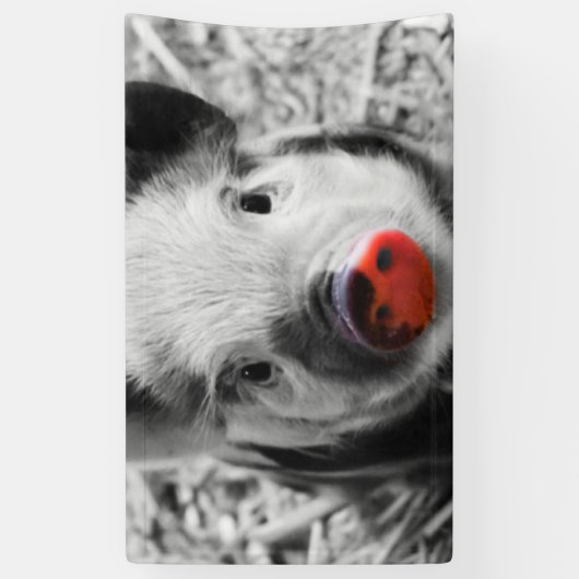 Zoete biggetje spandoek (Verticaal)