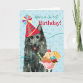 Zoete Birthday Belgium Sheepdog Kaart (Voorkant)