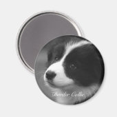 Zoete Border Collie pup Magneet (Voorkant / Achterkant)