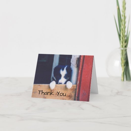 Zoete Border Collie Puppy Hond  Bedankkaart (Voorkant)