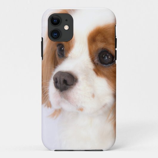 Zoete Cavalier King Charles Spaniel iphone 5g Hoes (Achterkant)