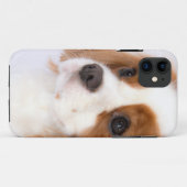 Zoete Cavalier King Charles Spaniel iphone 5g Hoes (Achterkant (horizontaal))