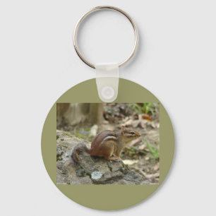 Zoete Chipmunk Warmwaterbronnen National Park Gesc Sleutelhanger