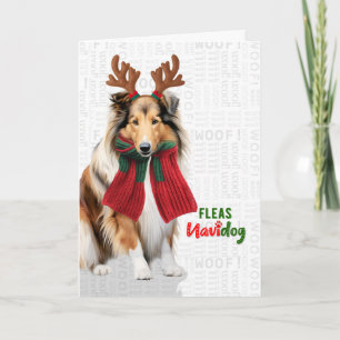 Zoete Collie Hond Grappige Vlooien Navidog Kerstmi Feestdagen Kaart