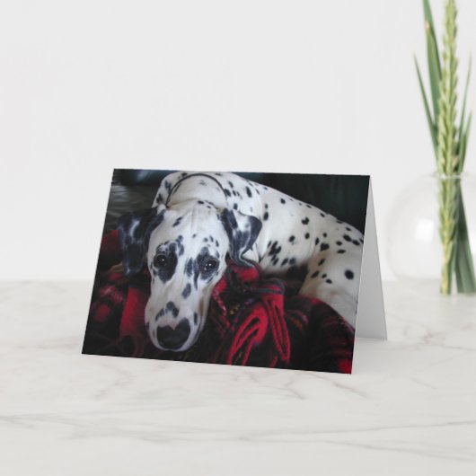 Zoete Dalmation Feestdagen Kaart (Voorkant)