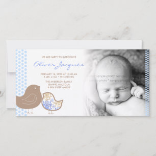 Zoete Damask Kuikens Baby Jongen Geboorteaankondig Aankondiging